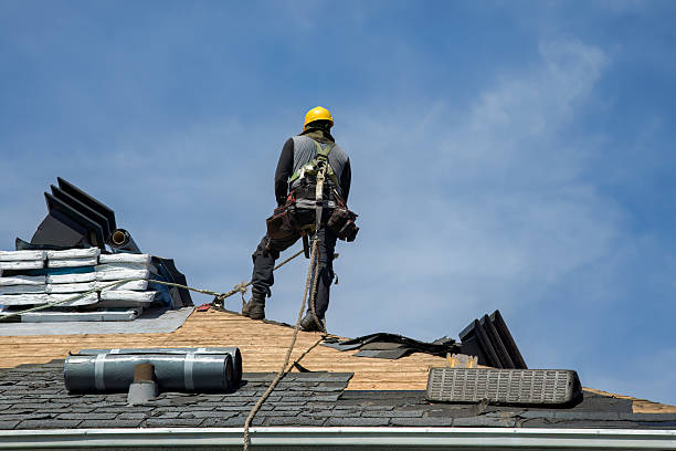 Professional Gutter Installation technician working in Sadieville, KY